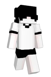 Vanidad Minecraft avatar full body