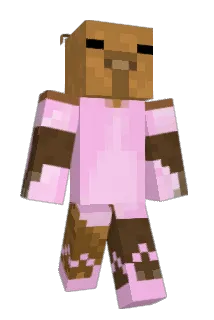 Vans247 Minecraft avatar full body