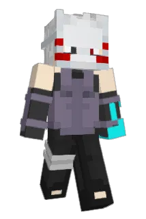 Vap0rr Minecraft avatar full body