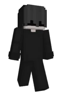 Vapexs Minecraft avatar full body