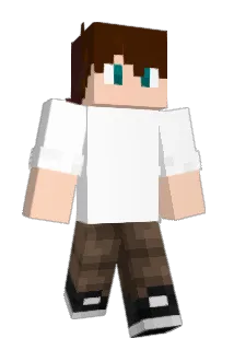 Vari3ty Minecraft avatar full body