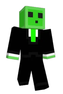 Varinbordi Minecraft avatar full body