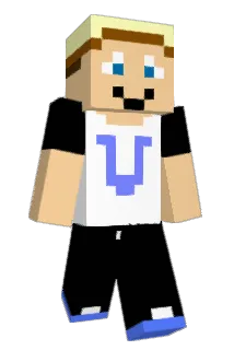 VarisX Minecraft avatar full body