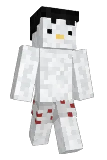 Varzal Minecraft avatar full body