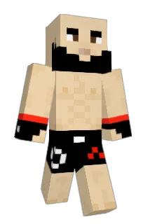 VascPT1904 Minecraft avatar full body