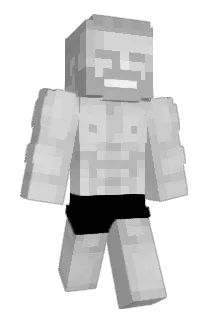 VaseNNN Minecraft avatar full body