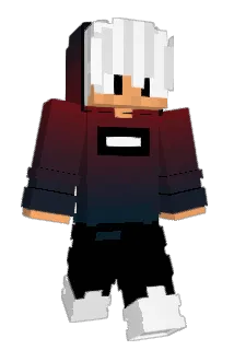 Vasenn Minecraft avatar full body