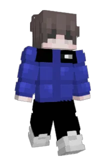 Vasi0n Minecraft avatar full body