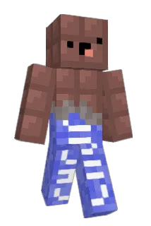 VasoDeAgua Minecraft avatar full body