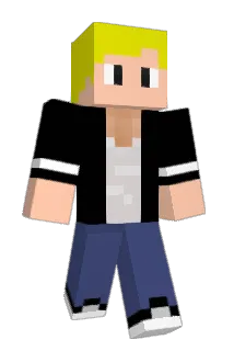 Vazes Minecraft avatar full body