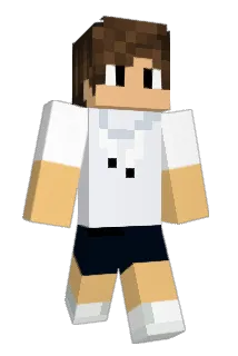 Vcc05 Minecraft avatar full body