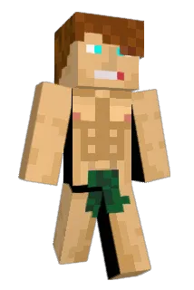 Vebi Minecraft avatar full body