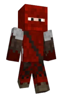 Vectored Minecraft avatar full body