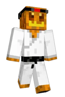 VeeBa Minecraft avatar full body