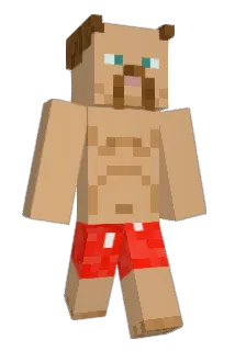 Veemaan Minecraft avatar full body