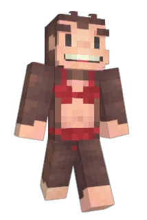 Vefylition Minecraft avatar full body