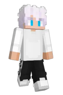 VegardNE Minecraft avatar full body