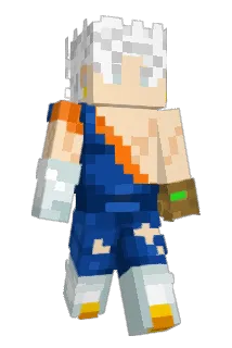 Vegerot Minecraft avatar full body