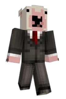 Velorcin Minecraft avatar full body