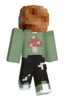 Venus4014 Minecraft avatar full body