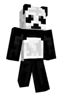 VeraW2004 Minecraft avatar full body