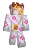 Verappo Minecraft avatar full body