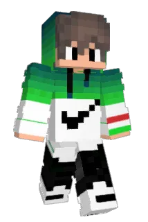 Verdedigen Minecraft avatar full body