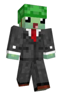 Verhasster Minecraft avatar full body
