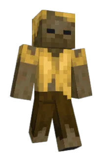 Verheul13 Minecraft avatar full body