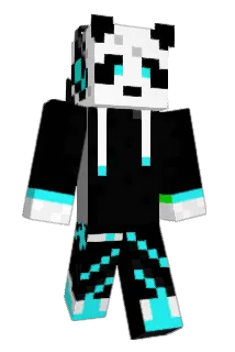 Verhoeffie Minecraft avatar full body