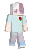 Verr_ Minecraft avatar full body