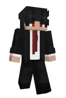 Versiegelter Minecraft avatar full body
