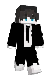 Vertraubarer Minecraft avatar full body