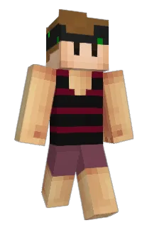 Verttigo Minecraft avatar full body