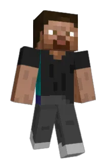 VeryFly Minecraft avatar full body