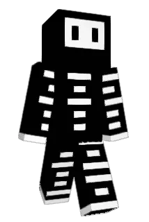 Vhy_ Minecraft avatar full body