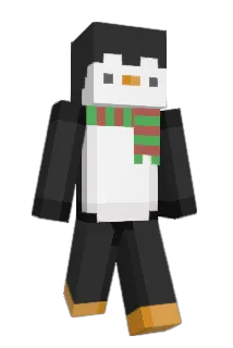 VibeBird11 Minecraft avatar full body