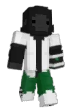 VibePhoenix Minecraft avatar full body