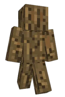 VibesVHS Minecraft avatar full body