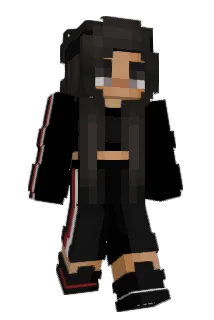 Vibesel Minecraft avatar full body