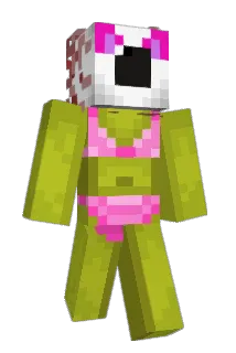 Vicwinner Minecraft avatar full body