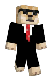 VidSnake Minecraft avatar full body