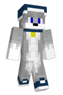 Vidde2005 Minecraft avatar full body