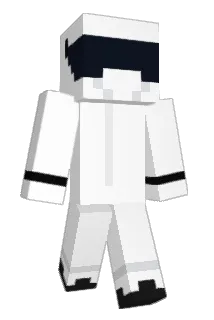 VideoTapes Minecraft avatar full body