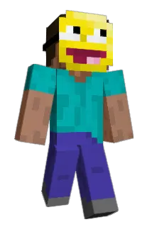 Videodisc Minecraft avatar full body