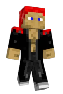 Vidocee Minecraft avatar full body