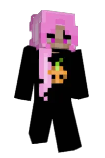 ViePizza Minecraft avatar full body