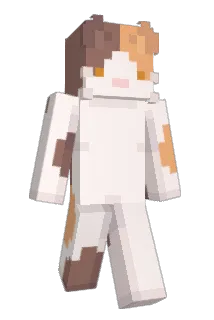 Vierries Minecraft avatar full body
