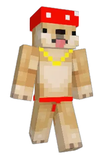 VigoSloth Minecraft avatar full body