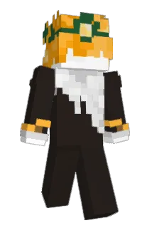 Minecraft-Avatar von ViiNh: ganzer Körper